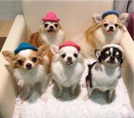 欧易app钱包下载钱包