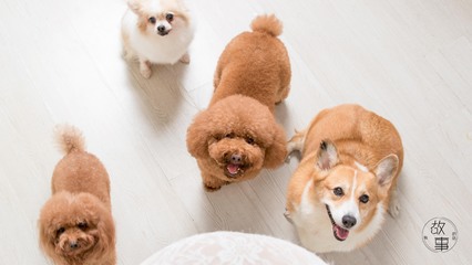 okp钱包app下载
