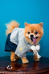 imtoken钱包下载网址