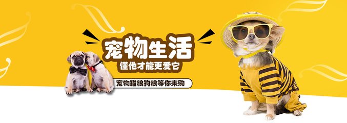 TRX钱包苹果app