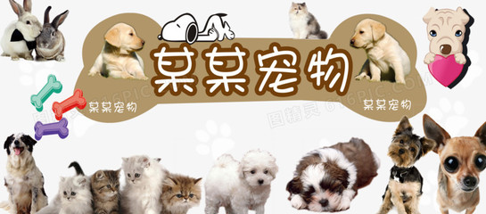 imToken官网下载