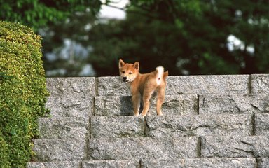 区块链app钱包