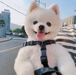 TRX钱包手机app钱包